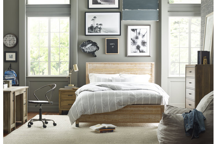 17 Trendy Teen Room Ideas (With Photos!) | Wayfair